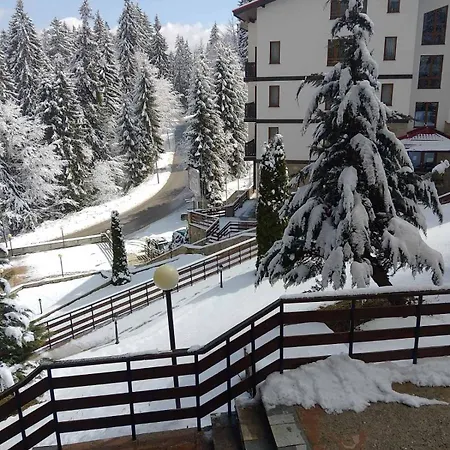 Near By Studenec-cedar Heights 1 Apartament *